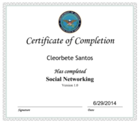 Social Networking - DoD